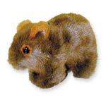 Willie Wombat