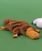 Beanz Platypus 8