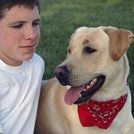 Stay-Cool Neck Wrap for Dogs